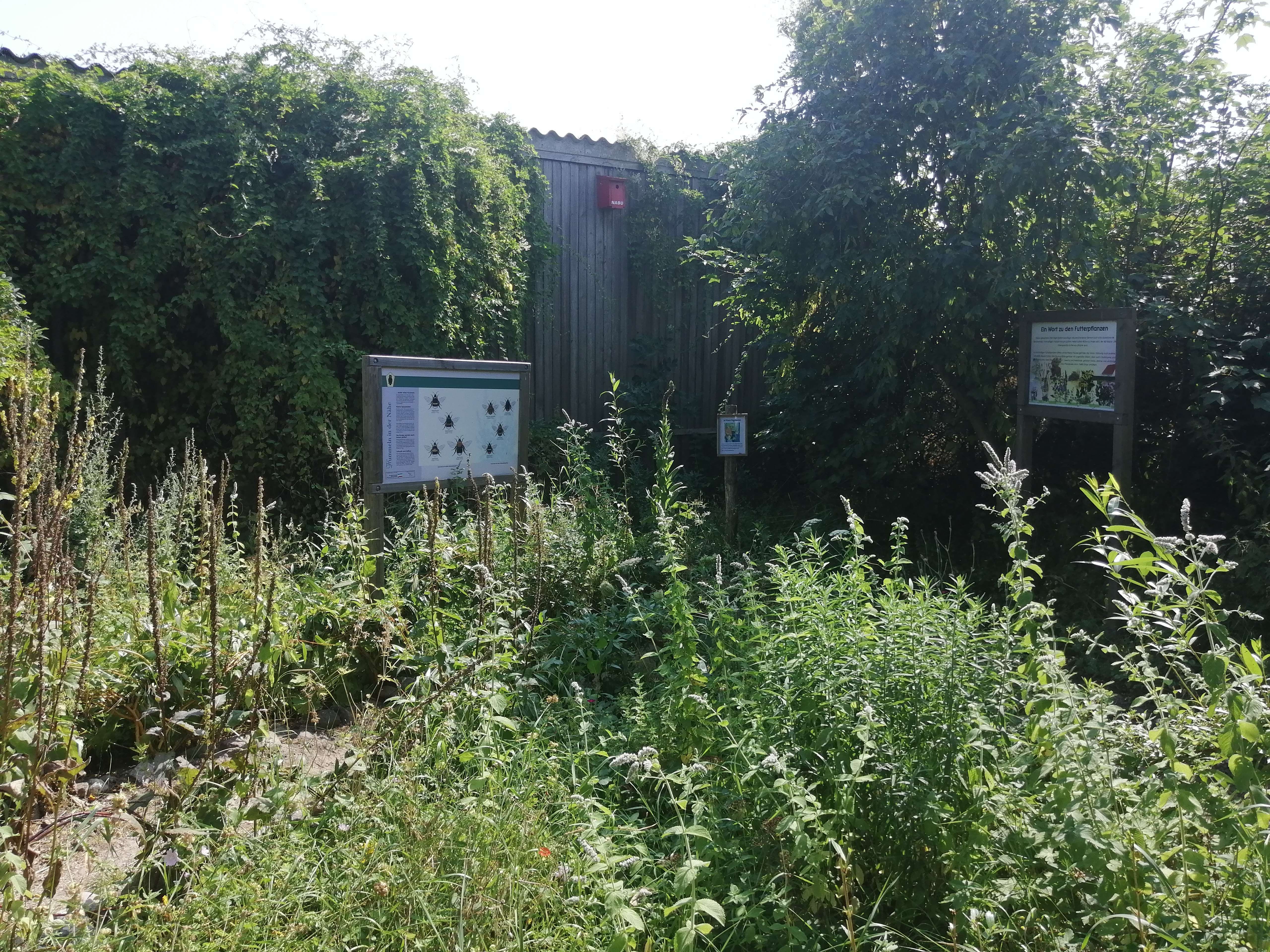 Rundweg beim NABU Wallnau auf Fehmarn