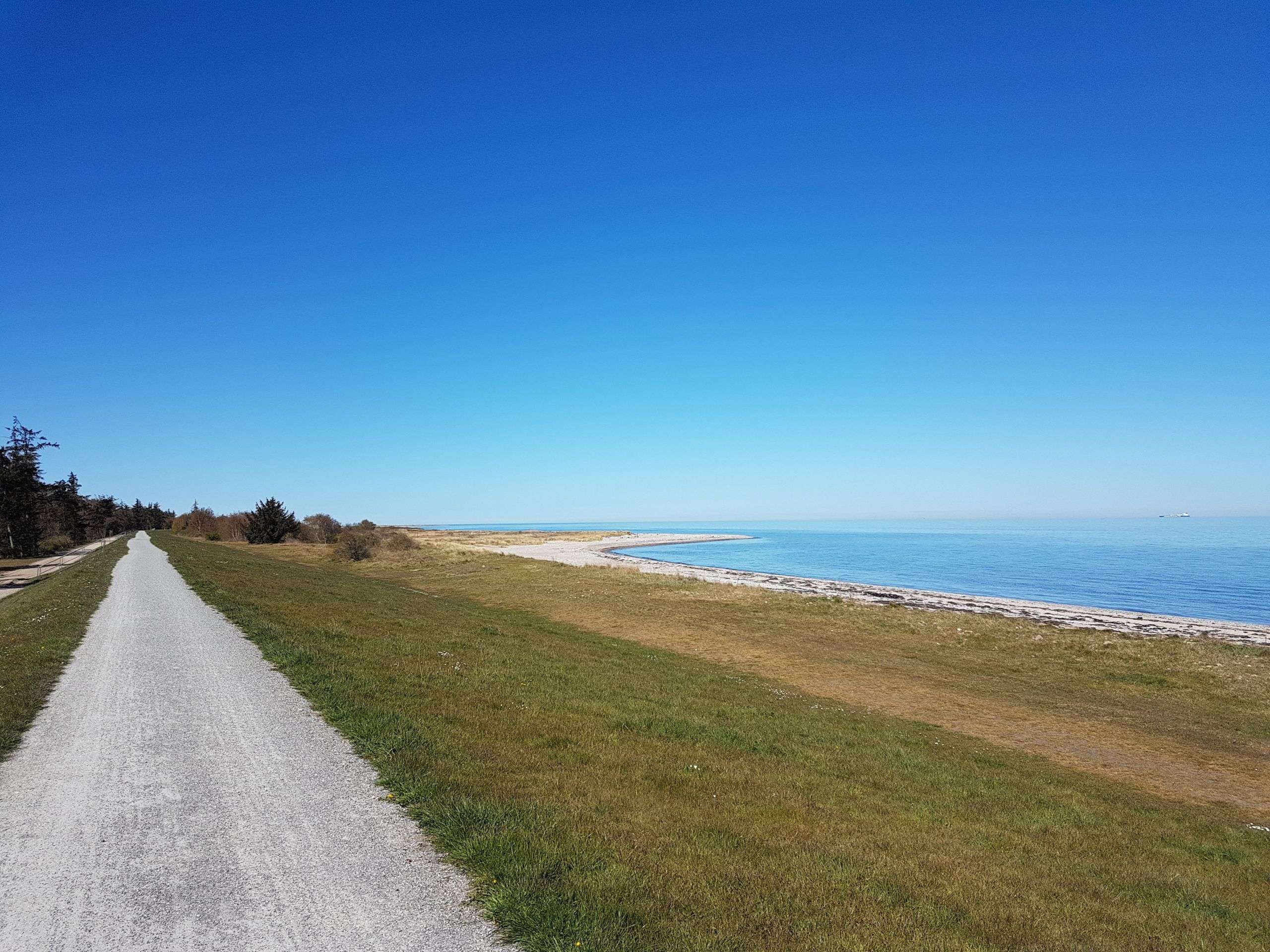 Radweg auf dem Deich auf Fehmarn 