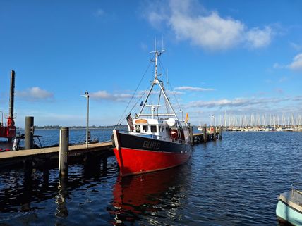 Fischkutter Tümmler im Hafen Burgstaaken