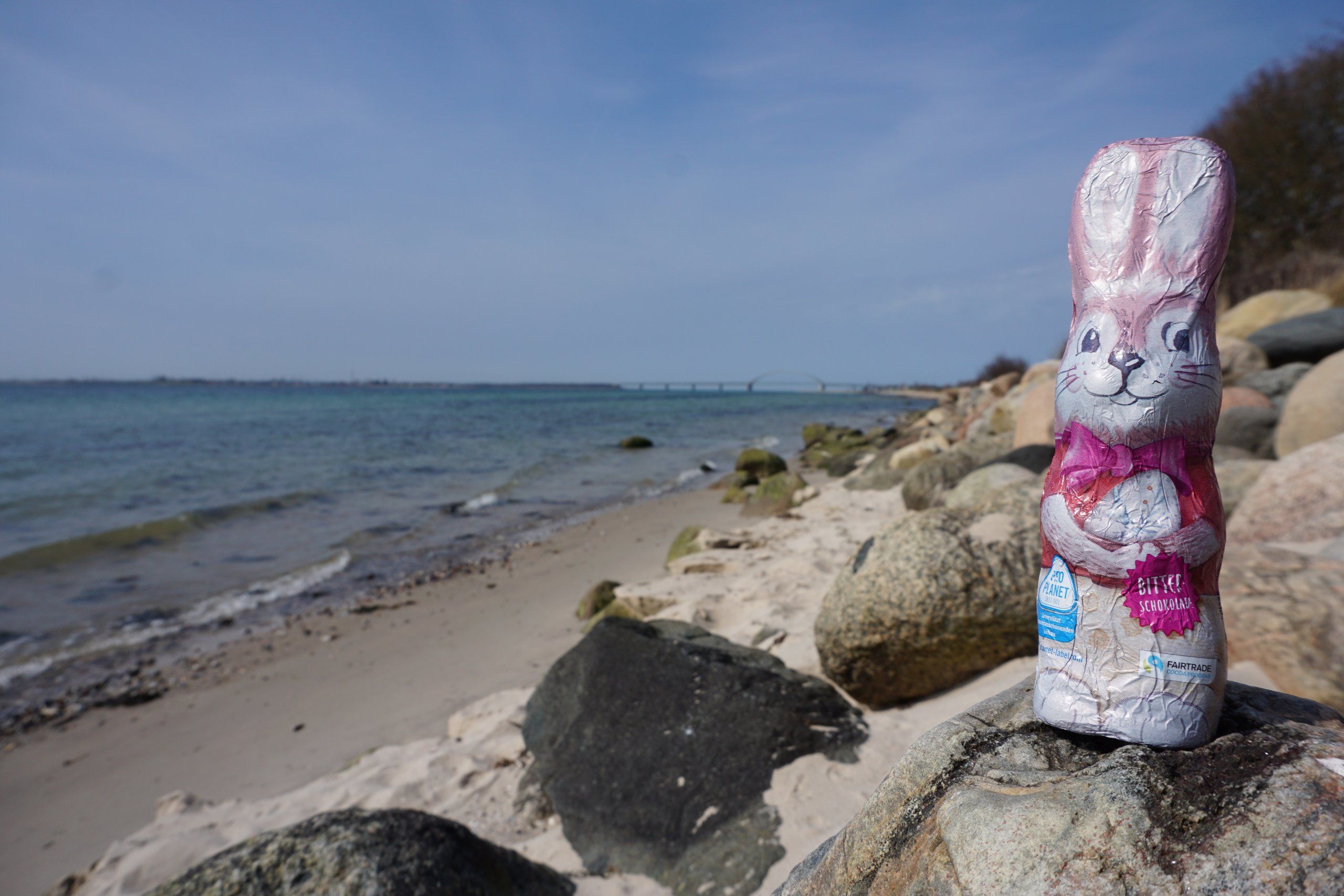 Osterhase am Strand von Wulfen auf Fehmarn