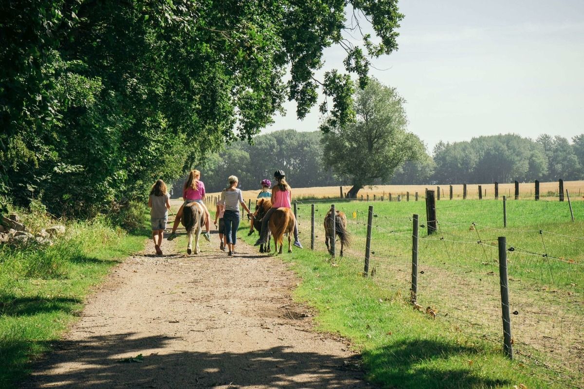 Reiten auf Fehmarn