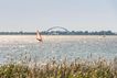 Windsurfer auf dem Burger Binnensee