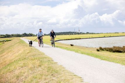 Eine Frau und ein Mann fahren auf dem Deich Fahrrad und haben ihren Hund an der Leine dabei.