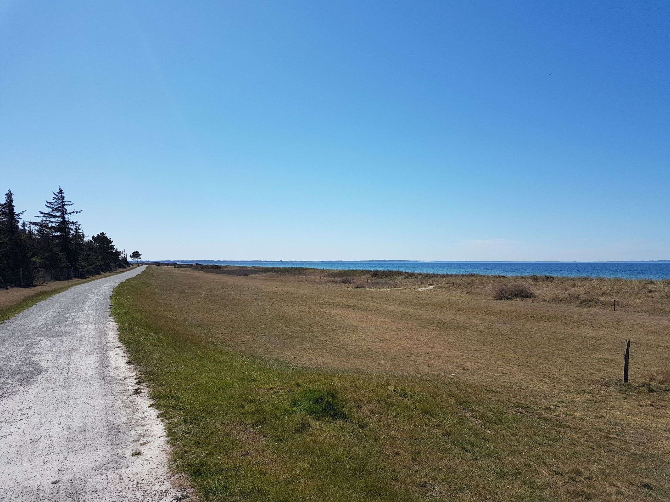 Inselumrundung mit dem Fahrrad auf Fehmarn 