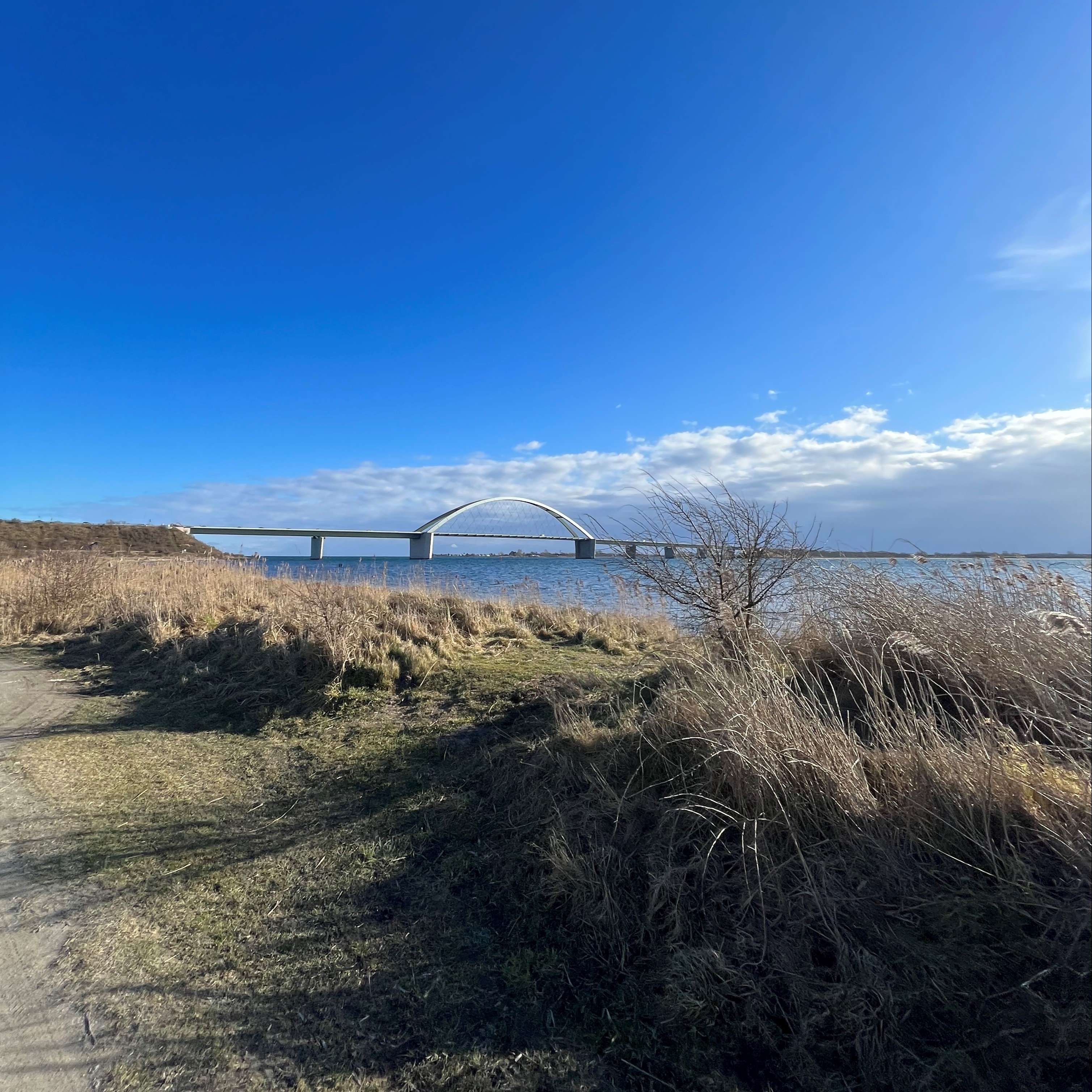 Radtour mit Blick auf die Fehmarnsundbrücke auf Fehmarn