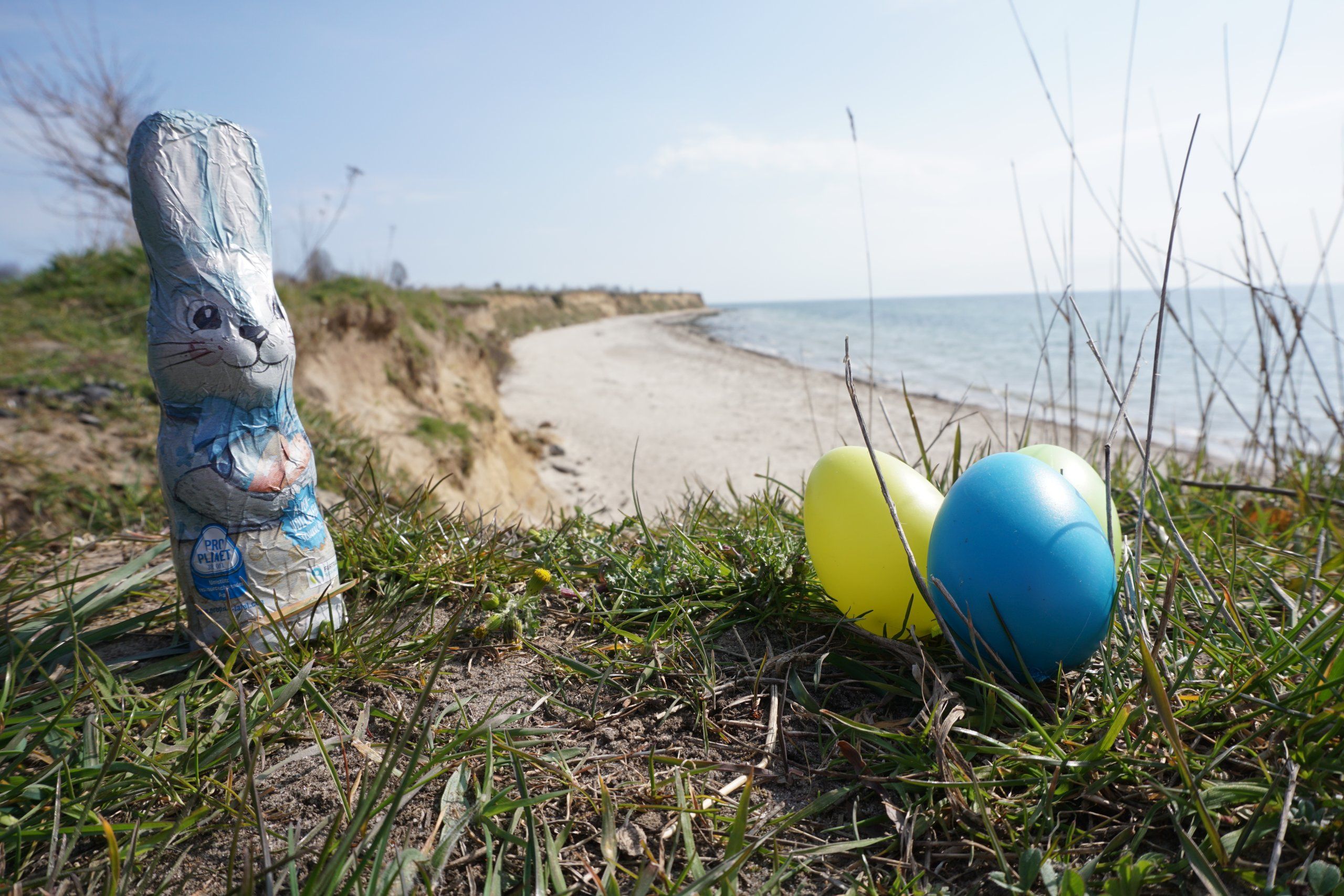 Osterhase an der Steilküste von Wulfen auf Fehmarn