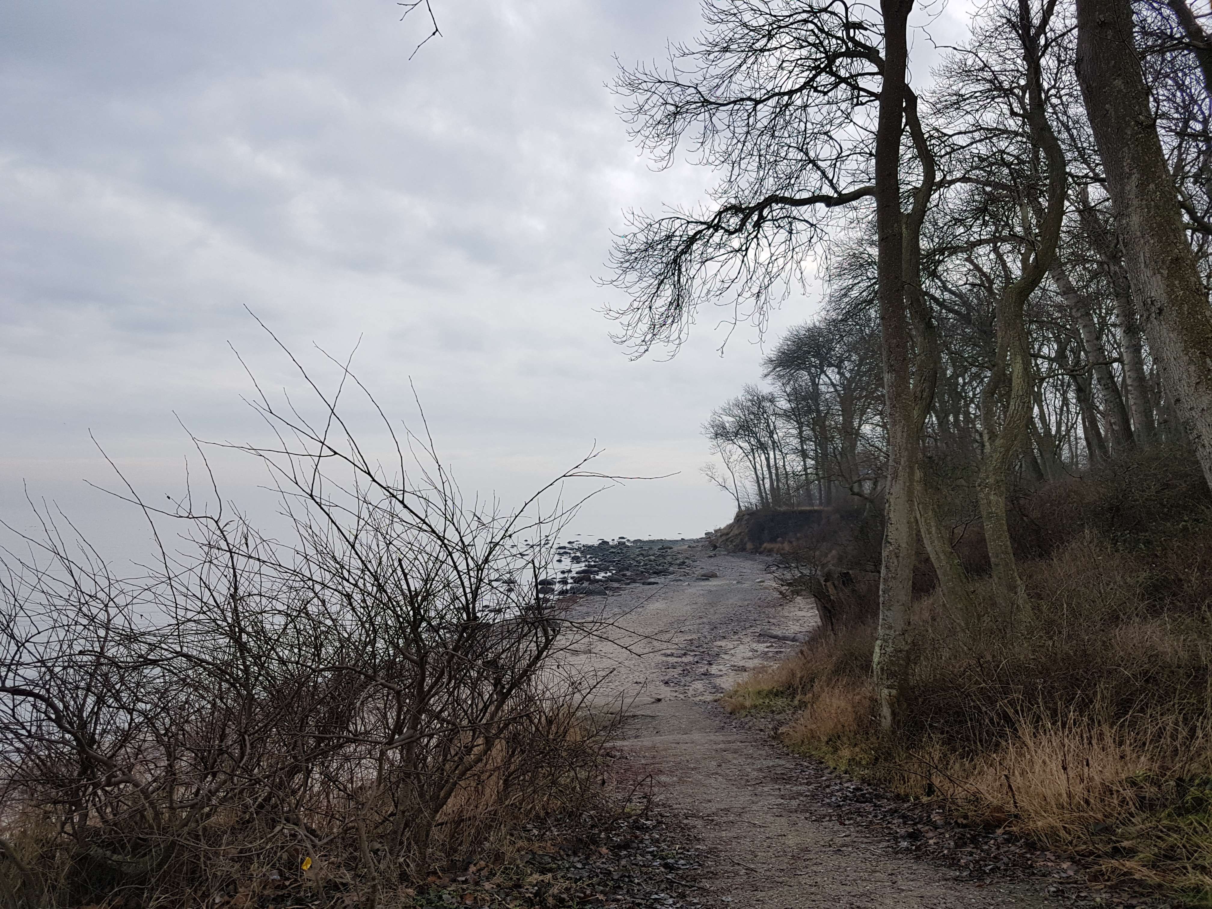 Wintermorgen in Katharinenhof am Strand