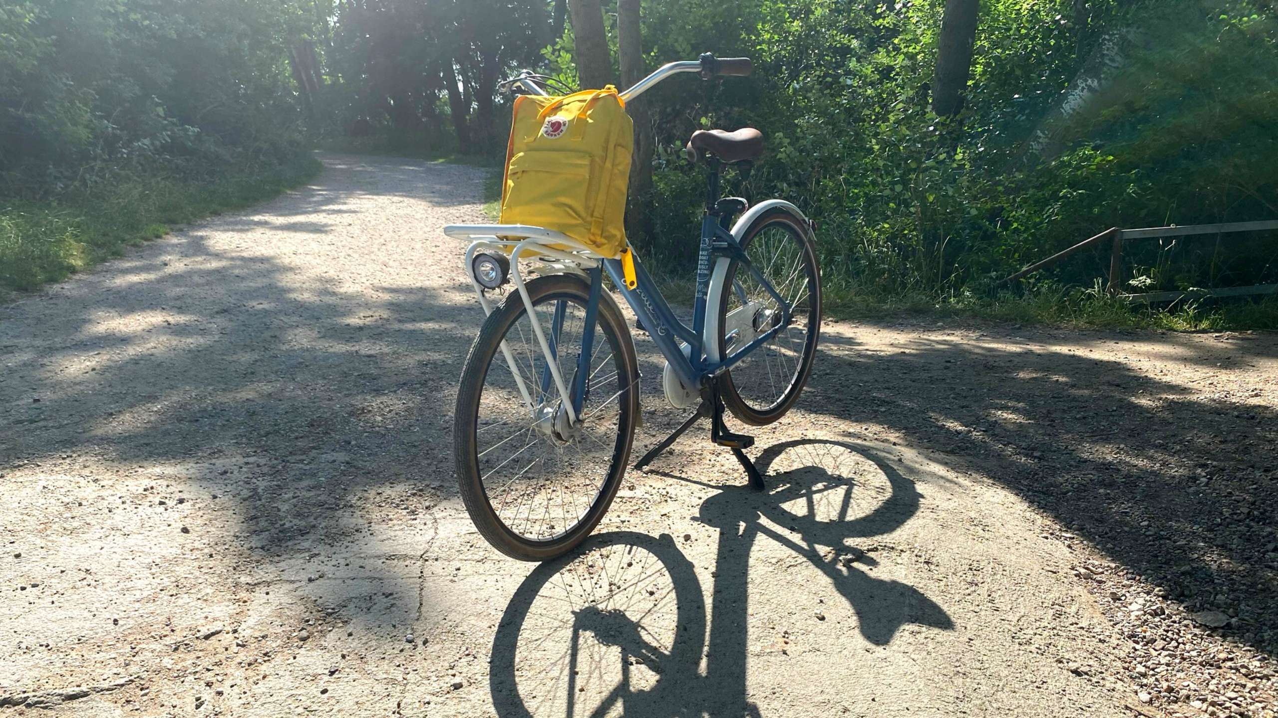 Fahrrad auf Fehmarn