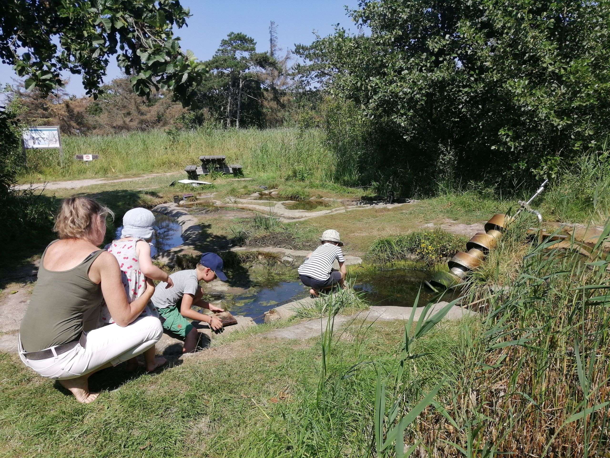 NABU Wasservogelreservat Wallnau auf Fehmarn 