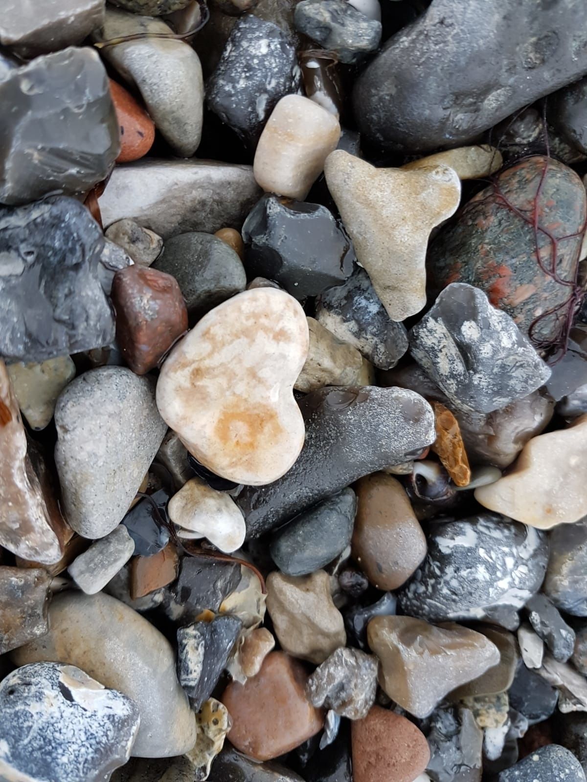 Steinstrand auf Fehmarn