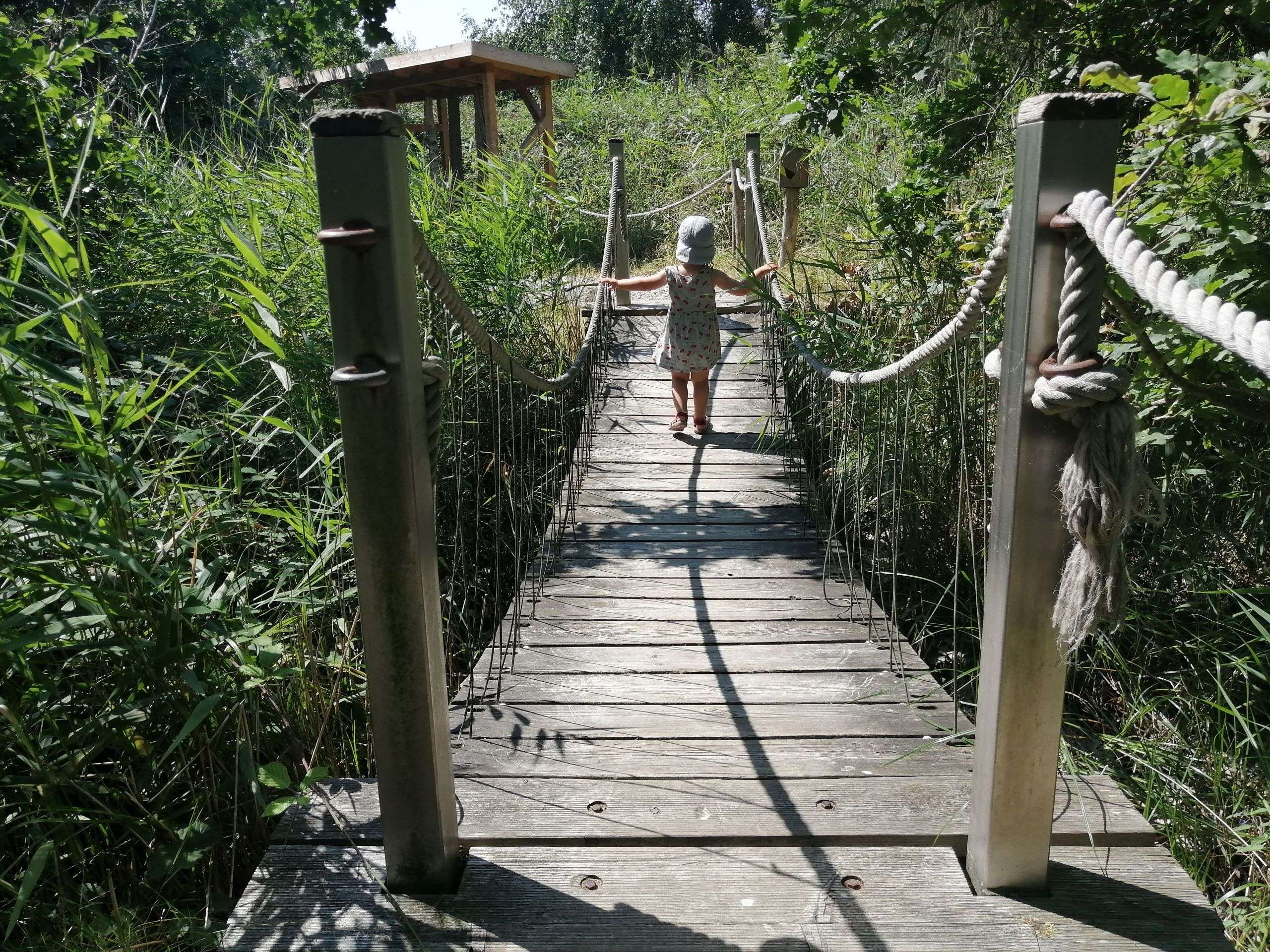 NABU Wasservogelreservat Wallnau auf Fehmarn 