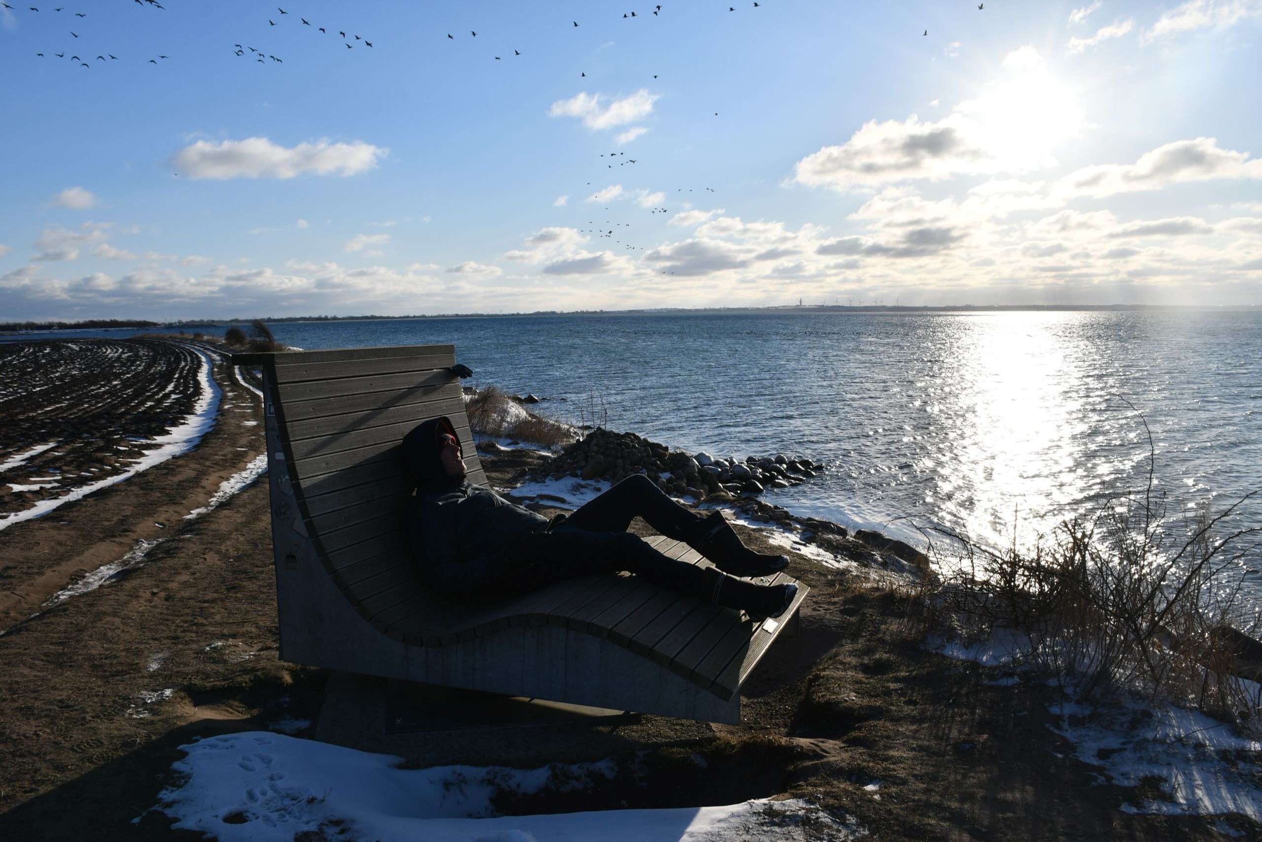 Bank an der Steilküste in Gold auf Fehmarn