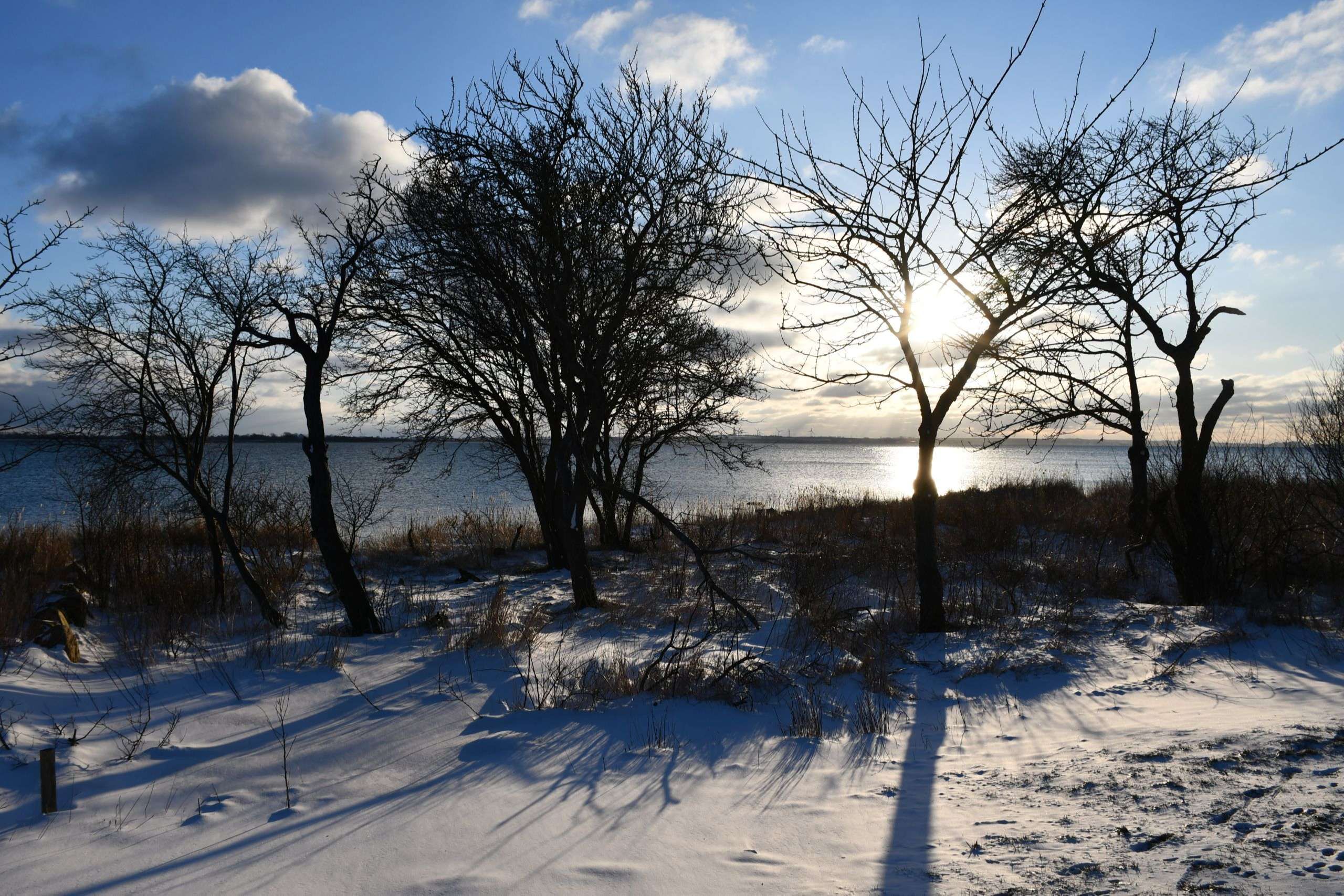 verschneite Landschaft vor der Ostsee auf Fehmarn