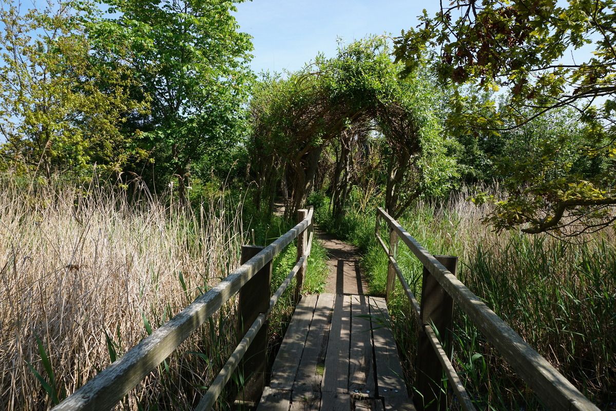 Wasservogelreservat Wallnau