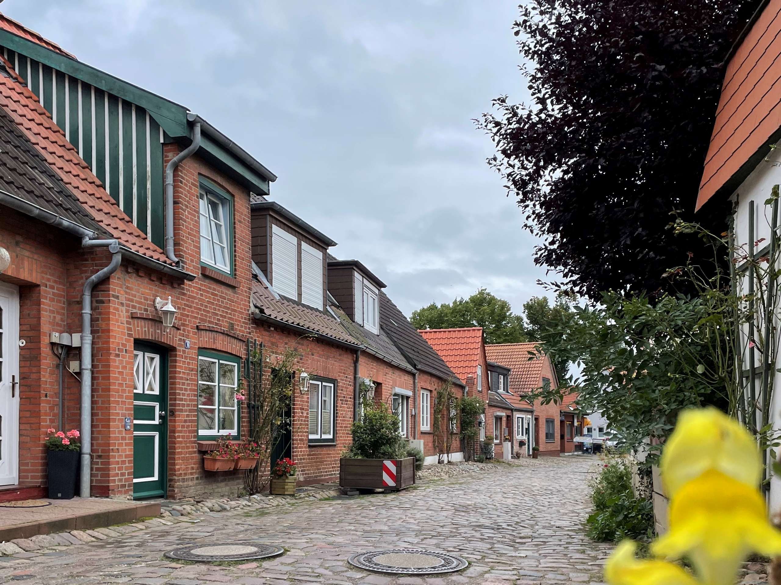 Häuser in der Altstadt von Burg auf Fehmarn 