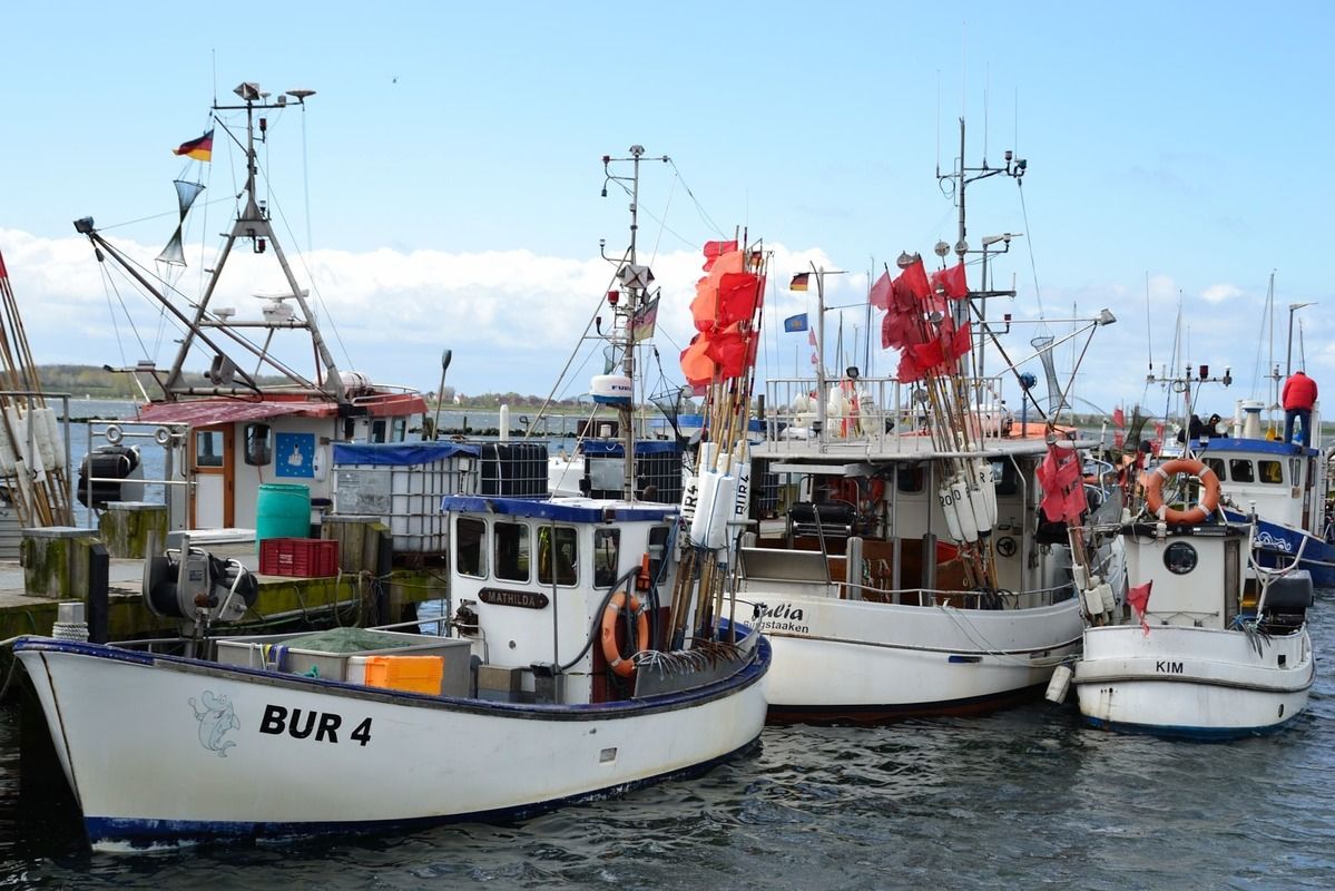 Fischkutter im Hafen Burgstaaken