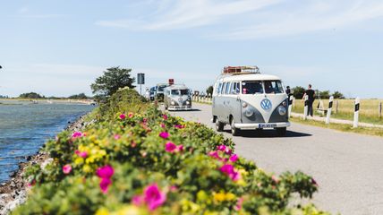 Midsummer Bulli Festival auf Fehmarn