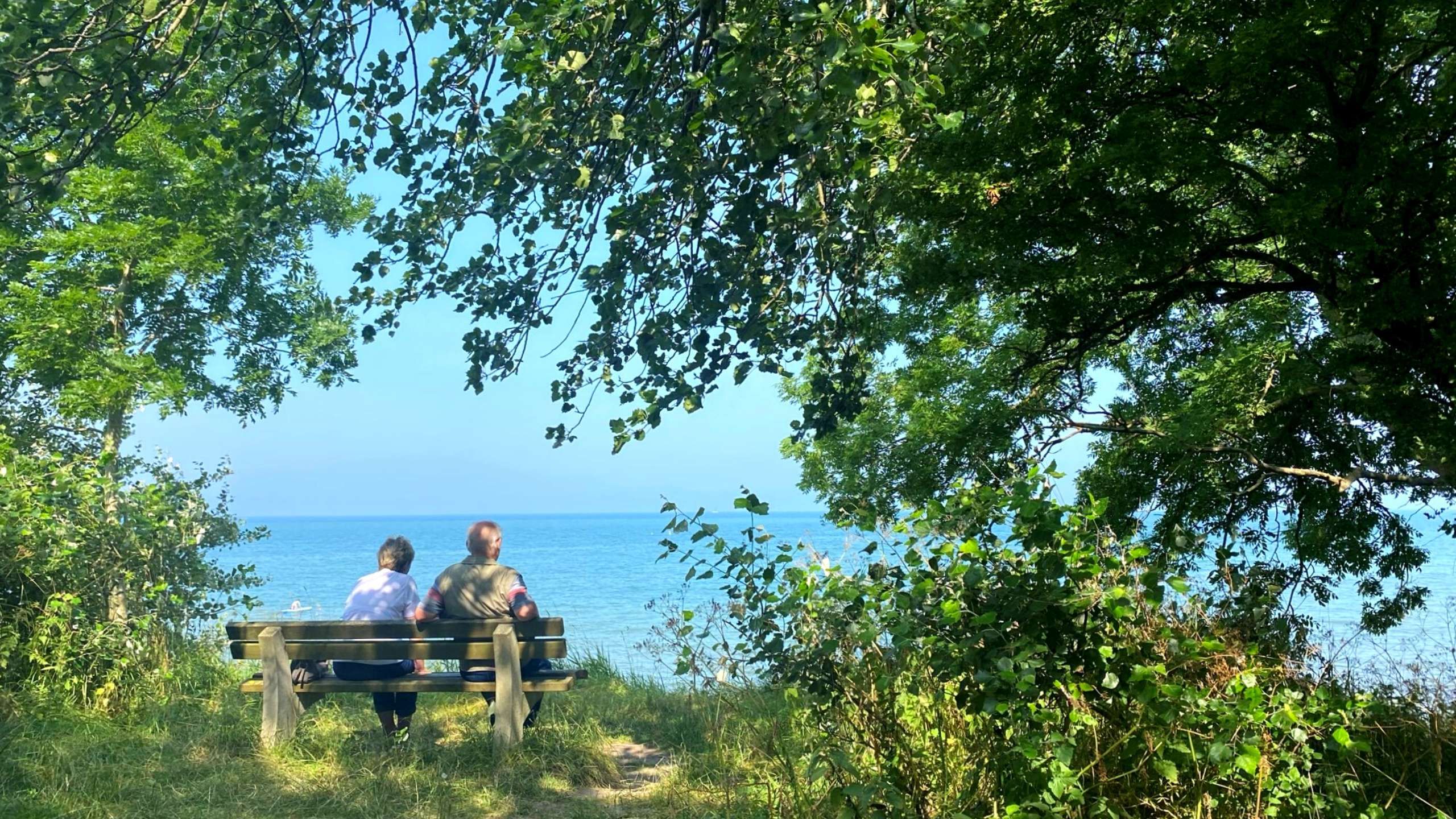 Bank an der Ostküste auf Fehmarn 