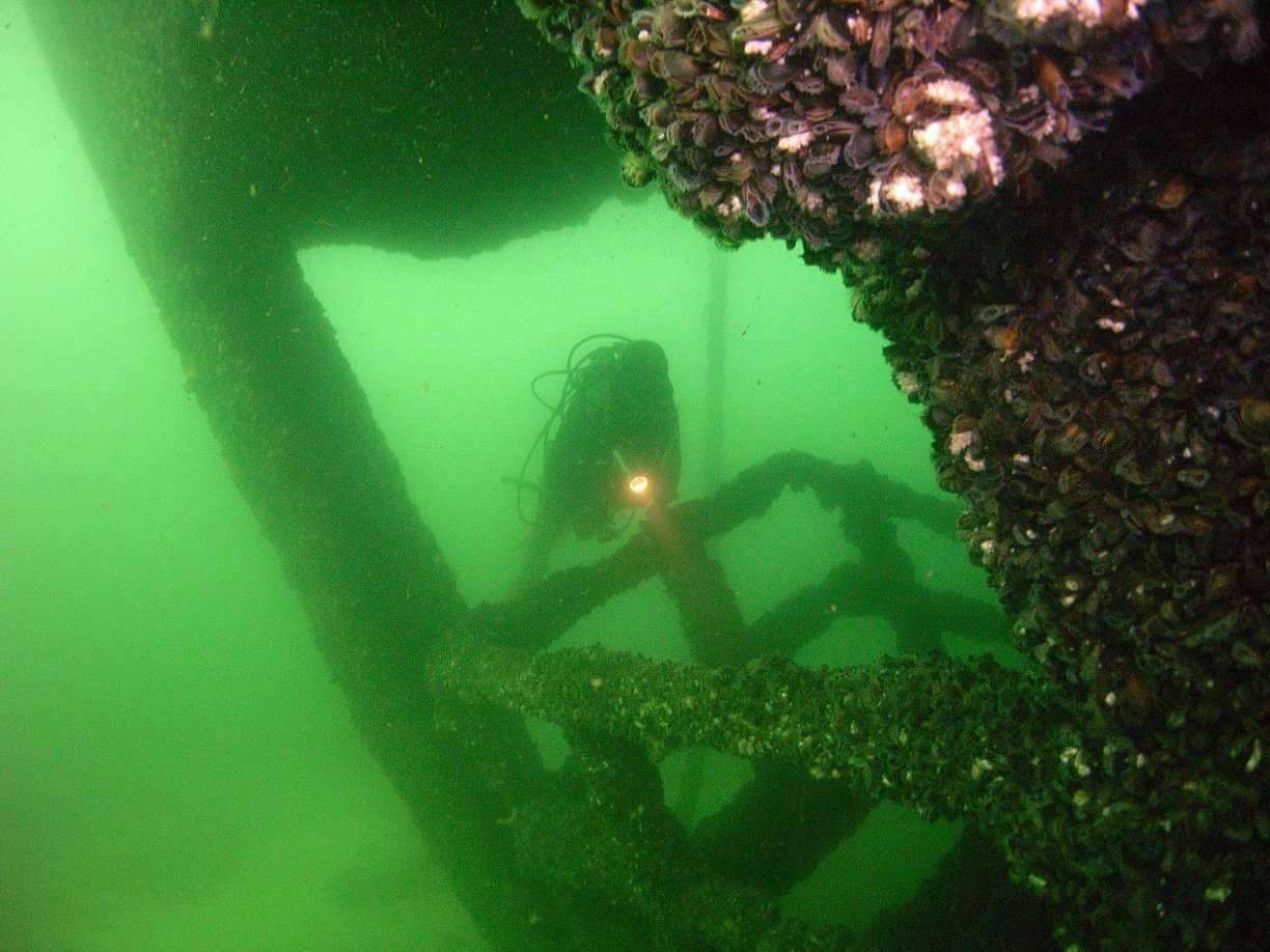 Tauchgang bei einem Wrack vor Fehmarn