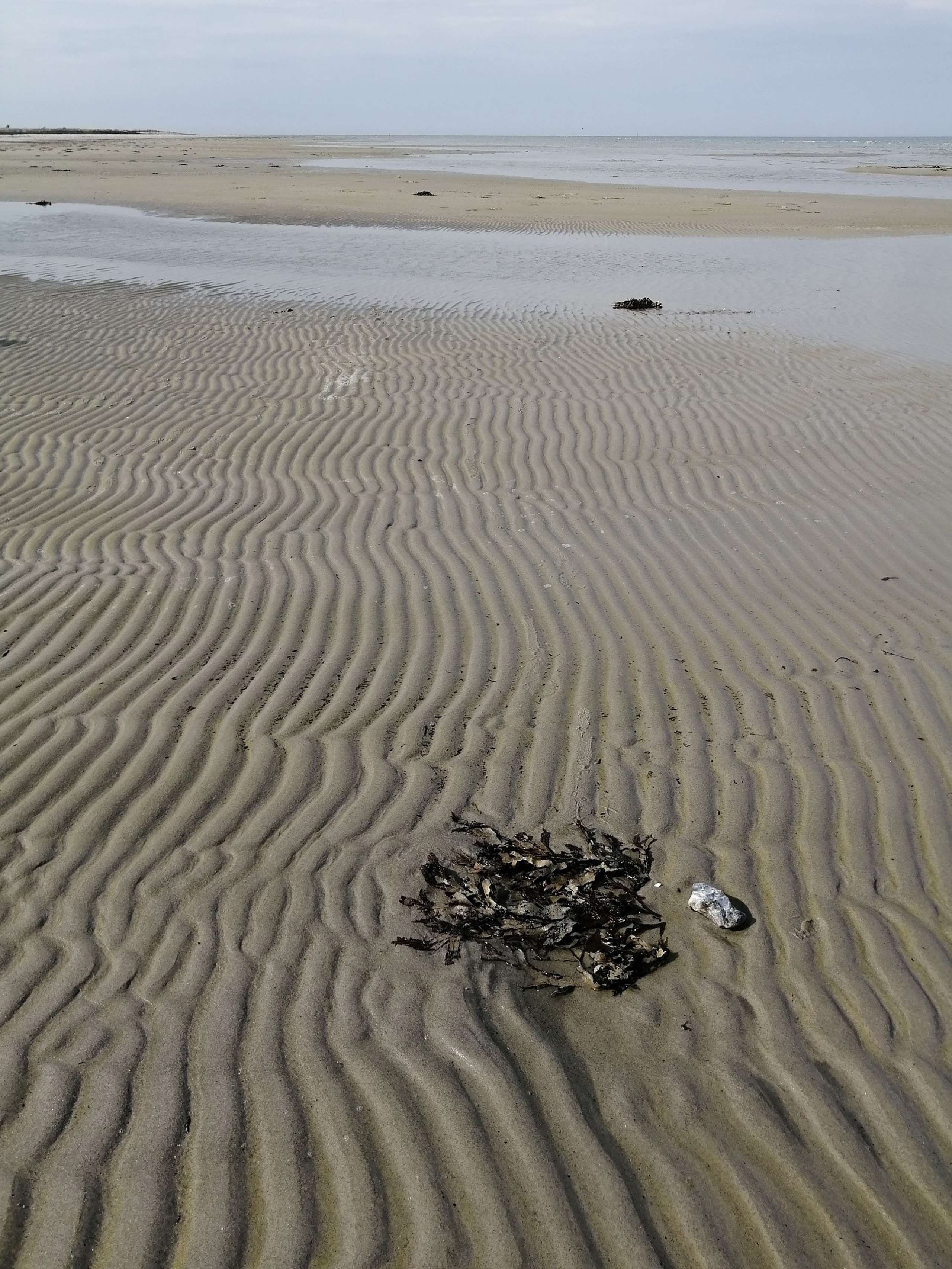 Ostsee am Grünen Brink auf Fehmarn 