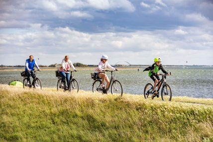 Eine Gruppe Radfahrer am Deichradweg