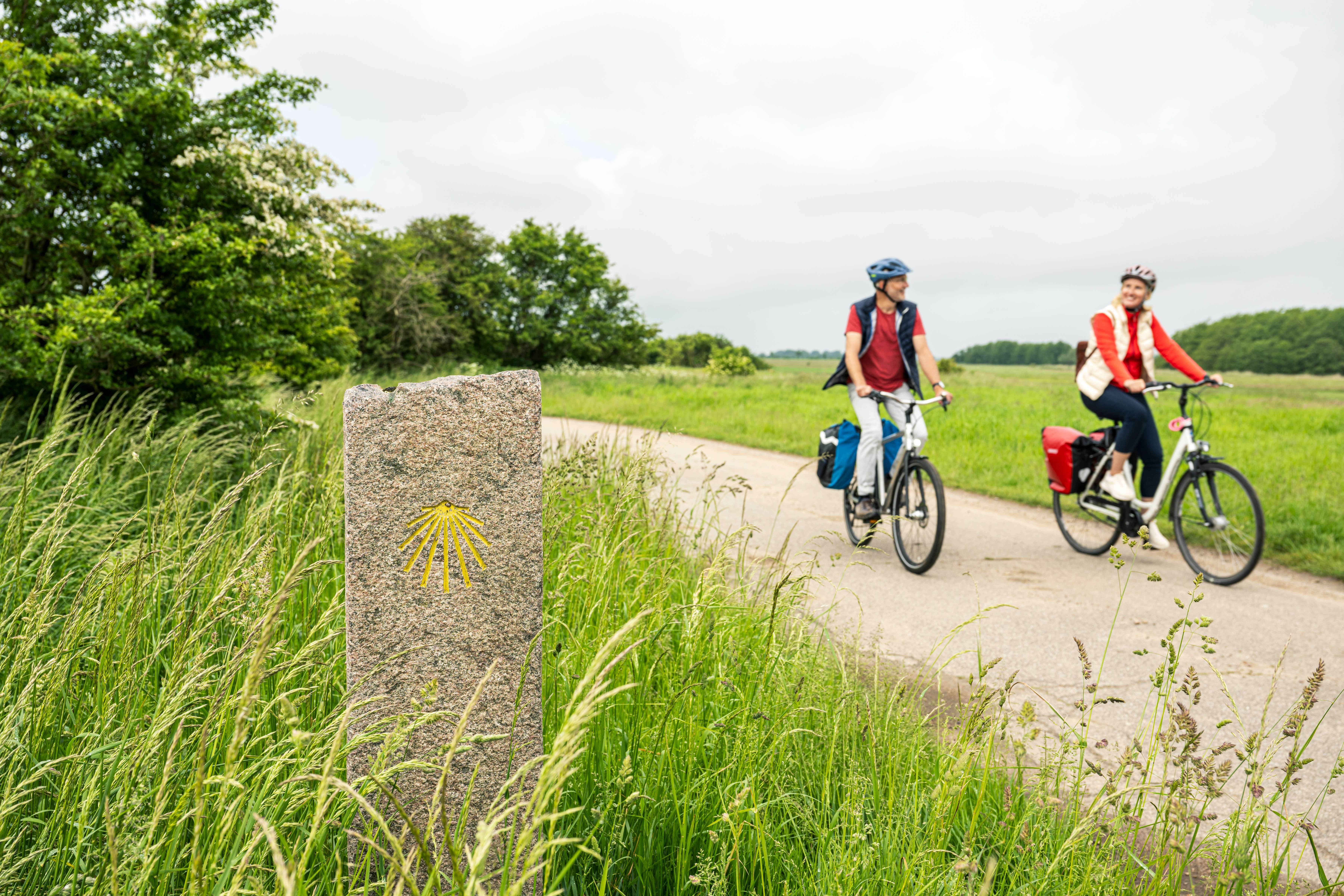 Eine Frau und ein Mann fahren auf dem Mönchsweg in Puttgarden Fahrrad