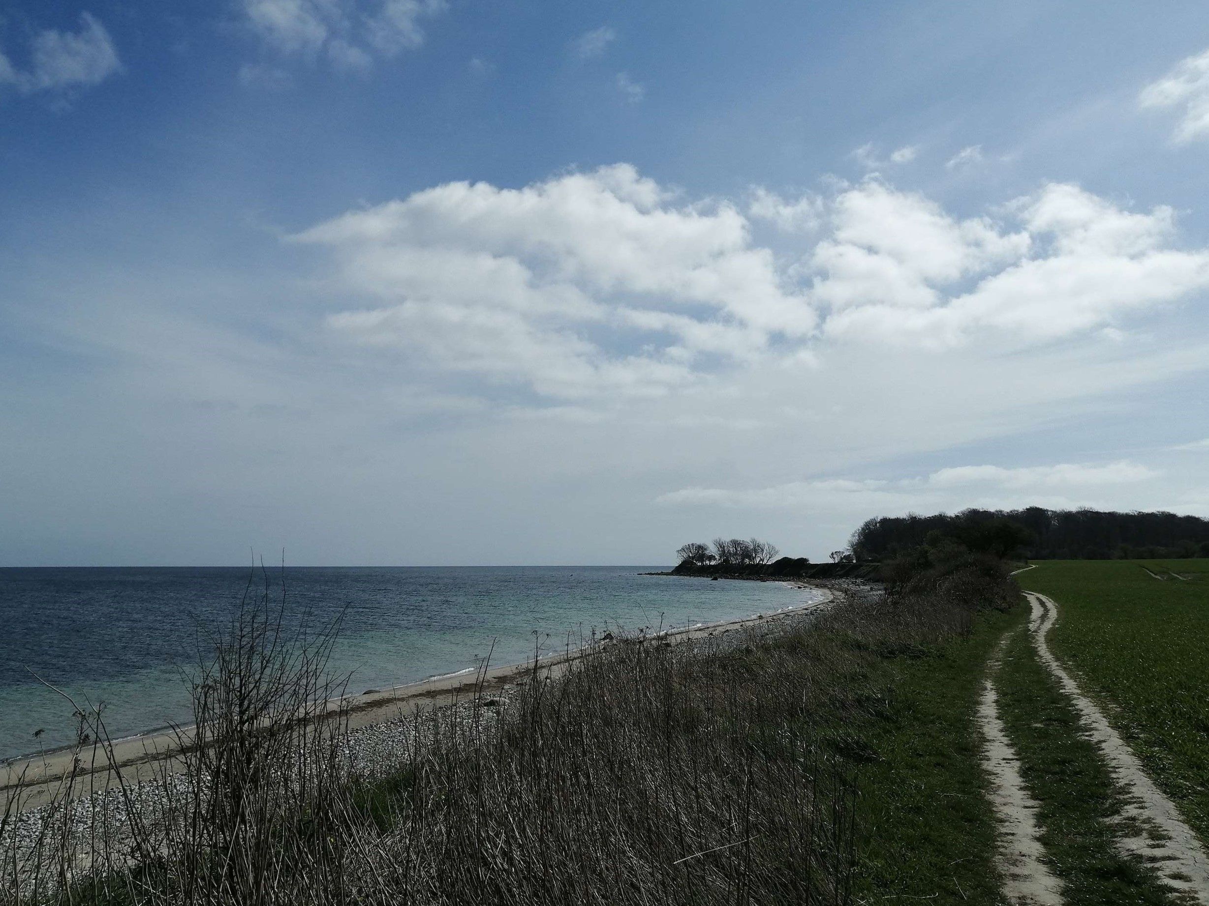 Steilküste Staberhuk auf Fehmarn 