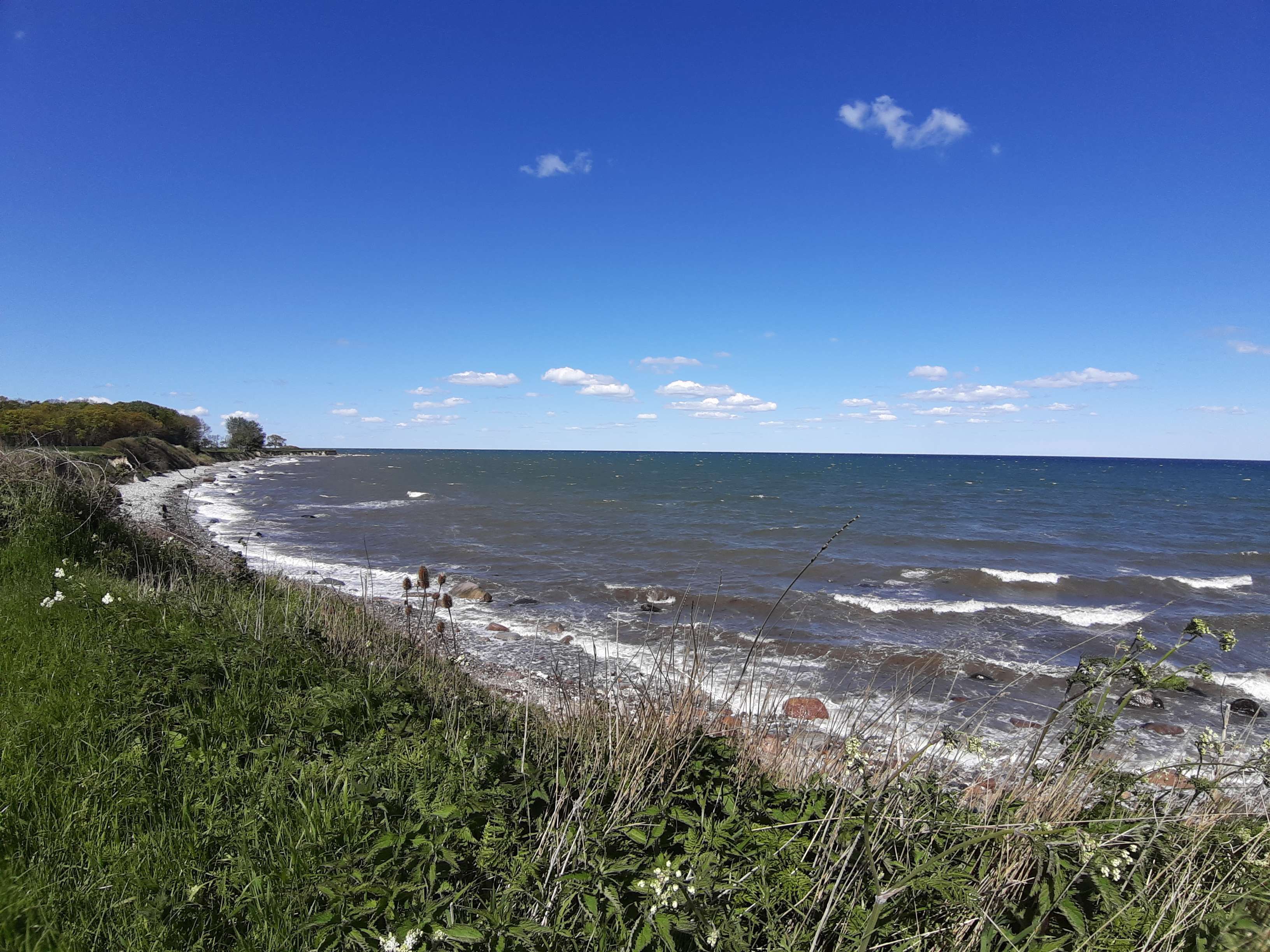 Steilküste im Osten auf Fehmarn 