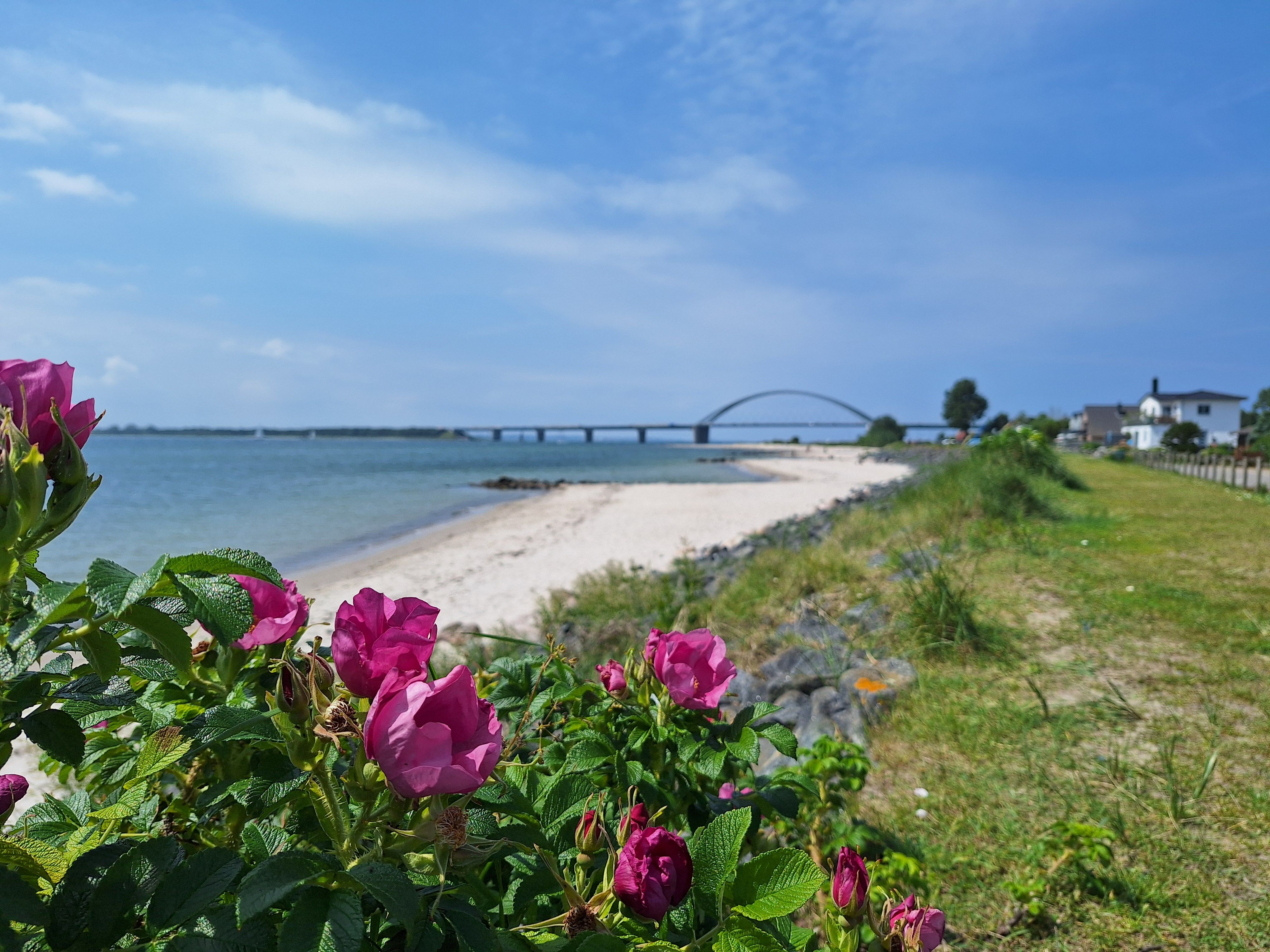 Fehmarnsundbrücke mit Strand Fehmarnsund