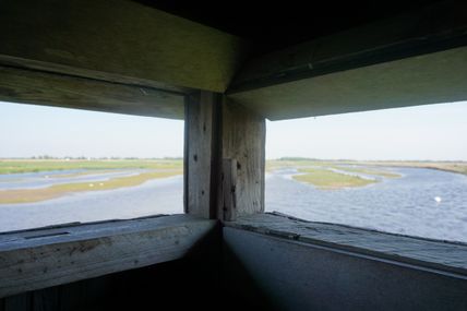 Wasservogelreservat Wallnau