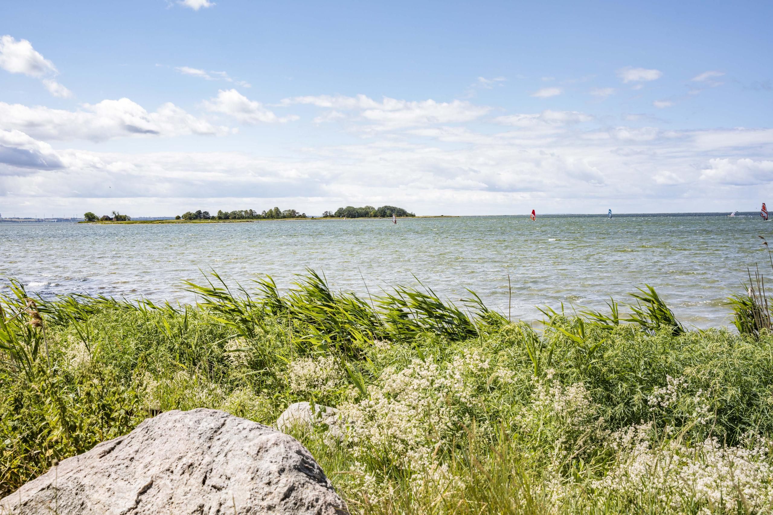 Windsurfer in Westerbergen auf Fehmarn