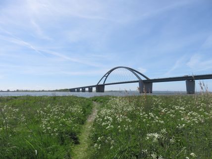 Fehmarnsundbrücke