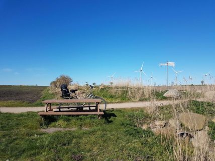 Picknickbank auf Fehmarn 