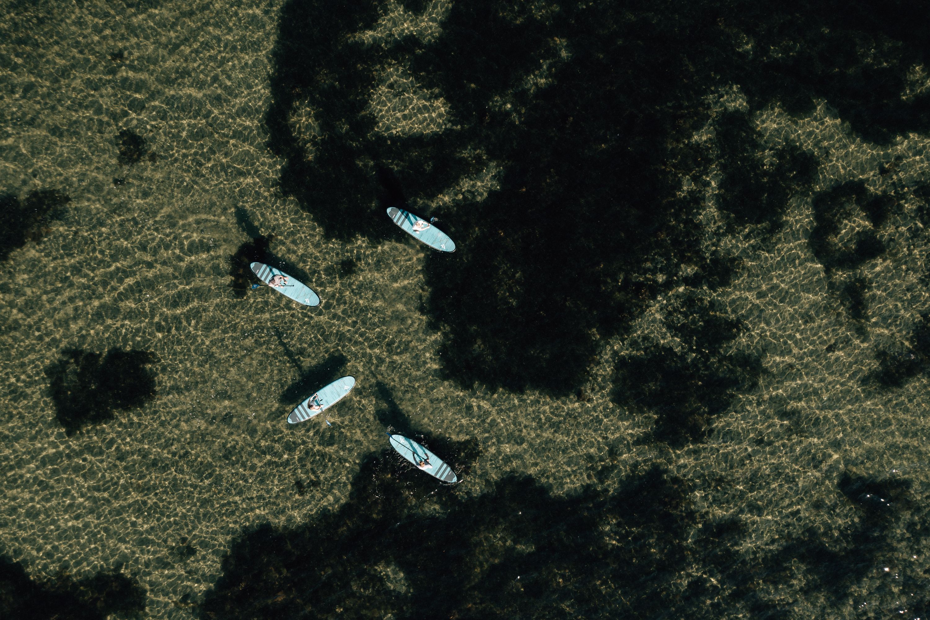 Surfen auf Fehmarn