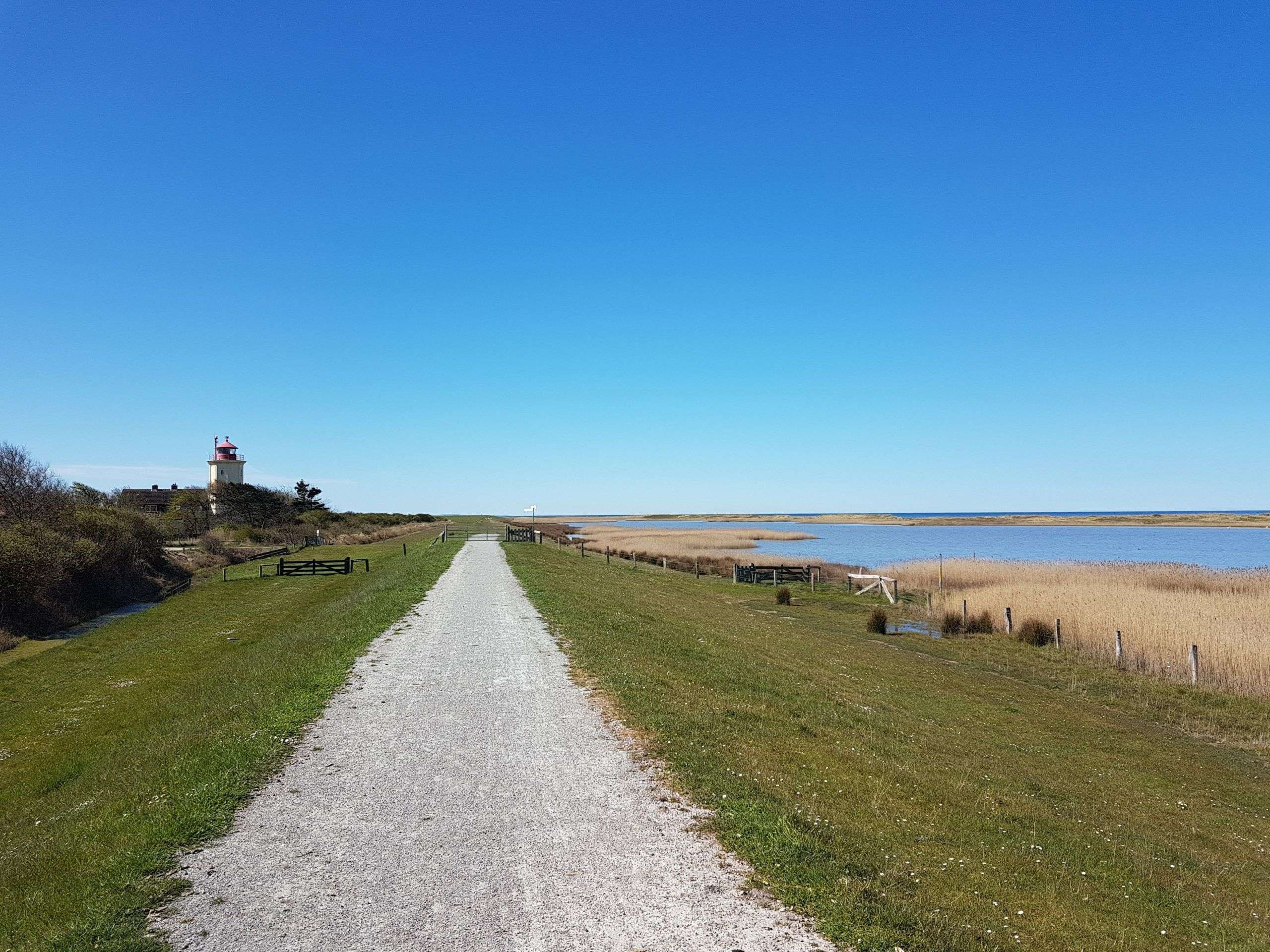 Radweg auf dem Deich auf Fehmarn 