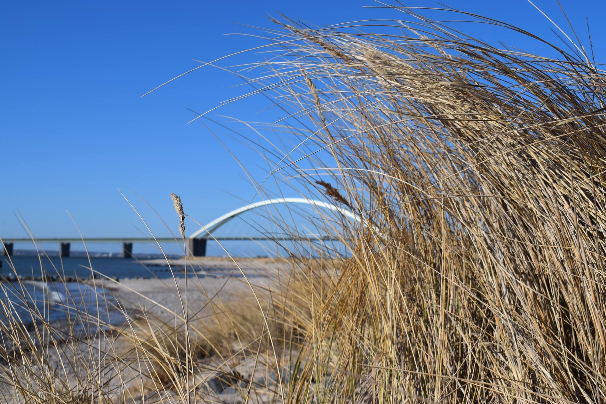 Fehmarnsundbrücke