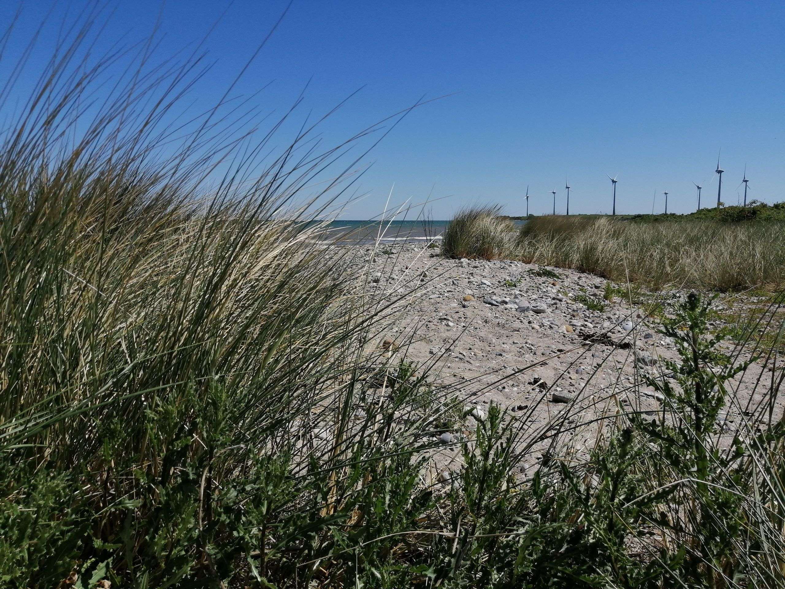 Strand in Presen auf Fehmarn 