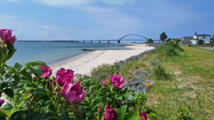 Fehmarnsundbrücke mit Strand Fehmarnsund