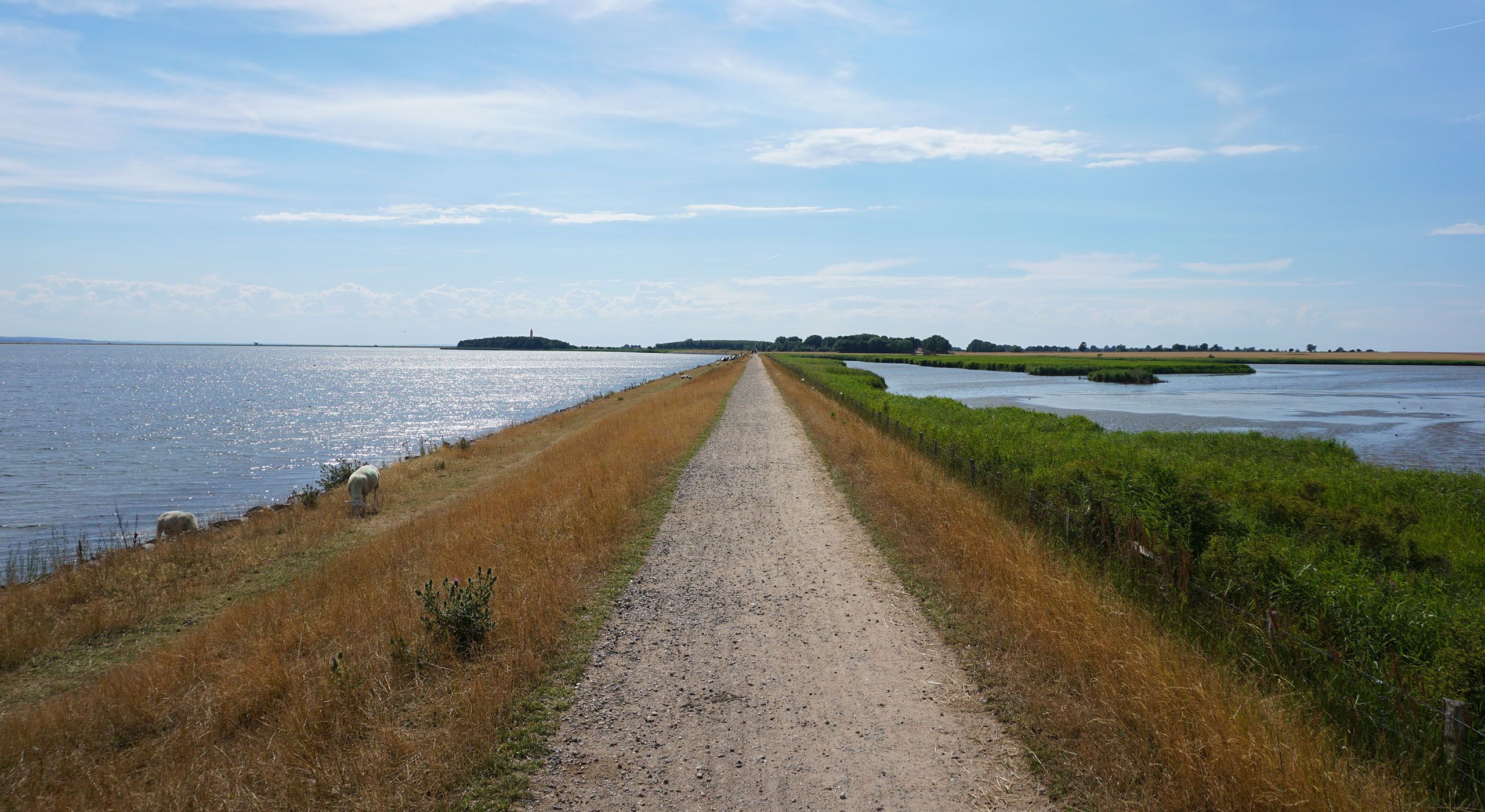 Deich in Orth auf Fehmarn