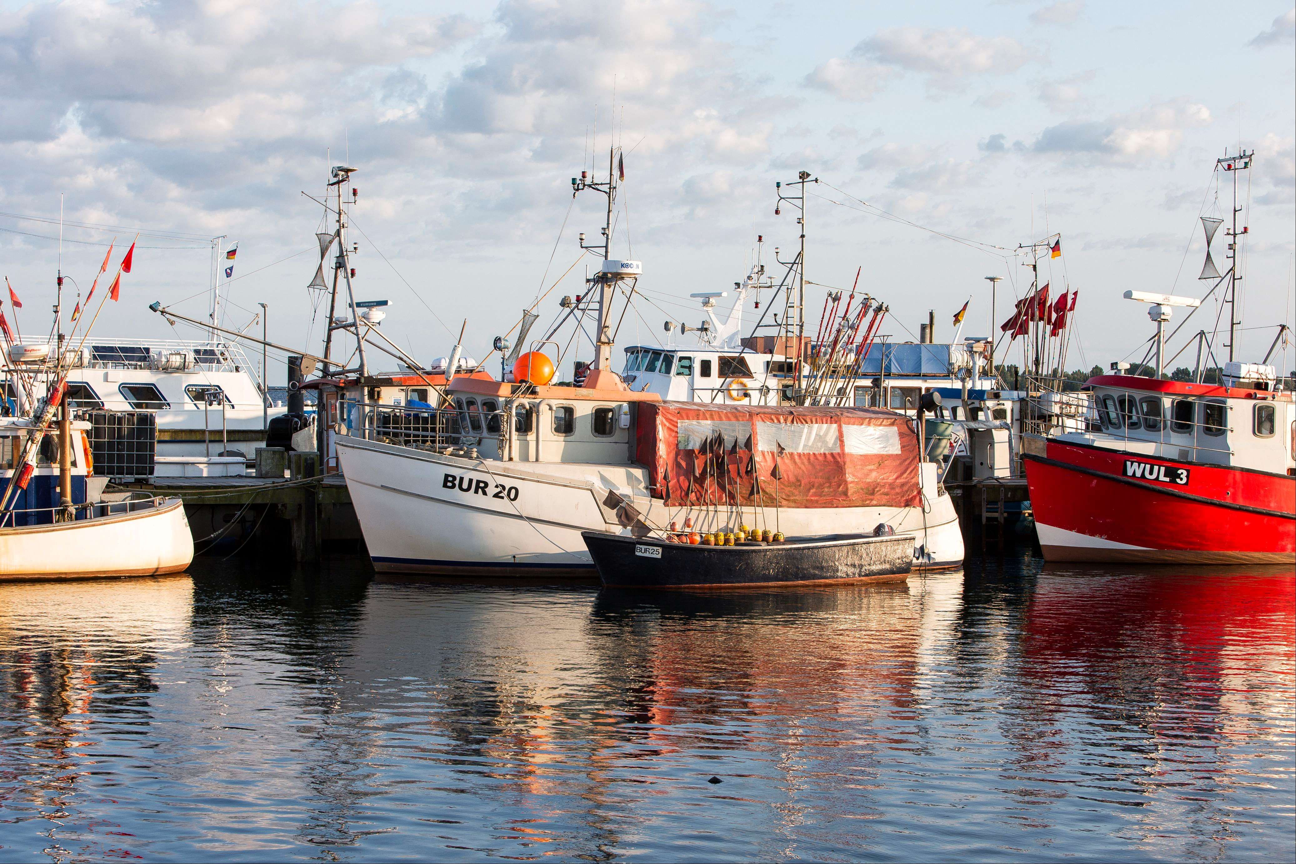 Boote und Kutter im Hafen Burgstaaken