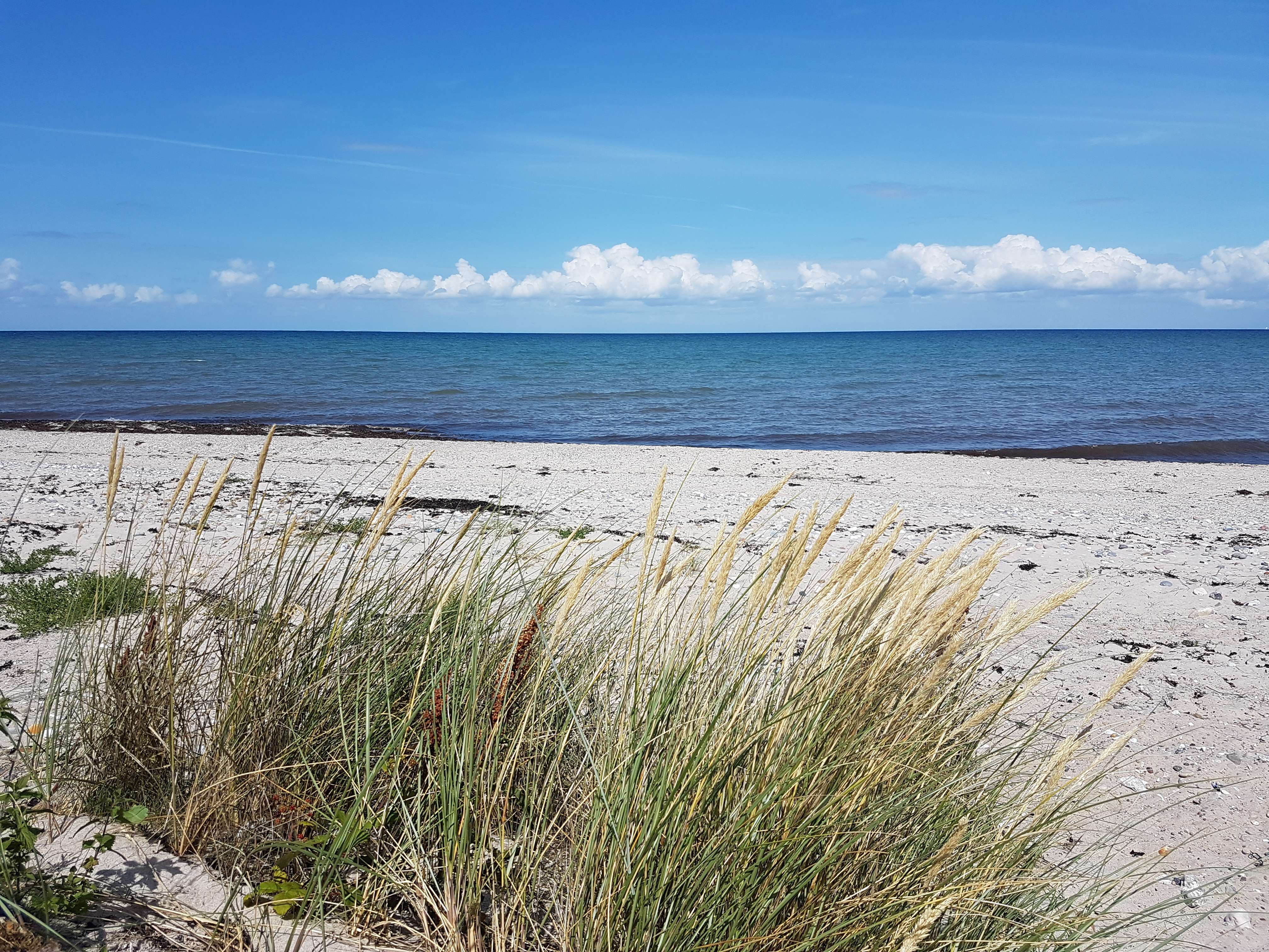 Strand in Altenteil