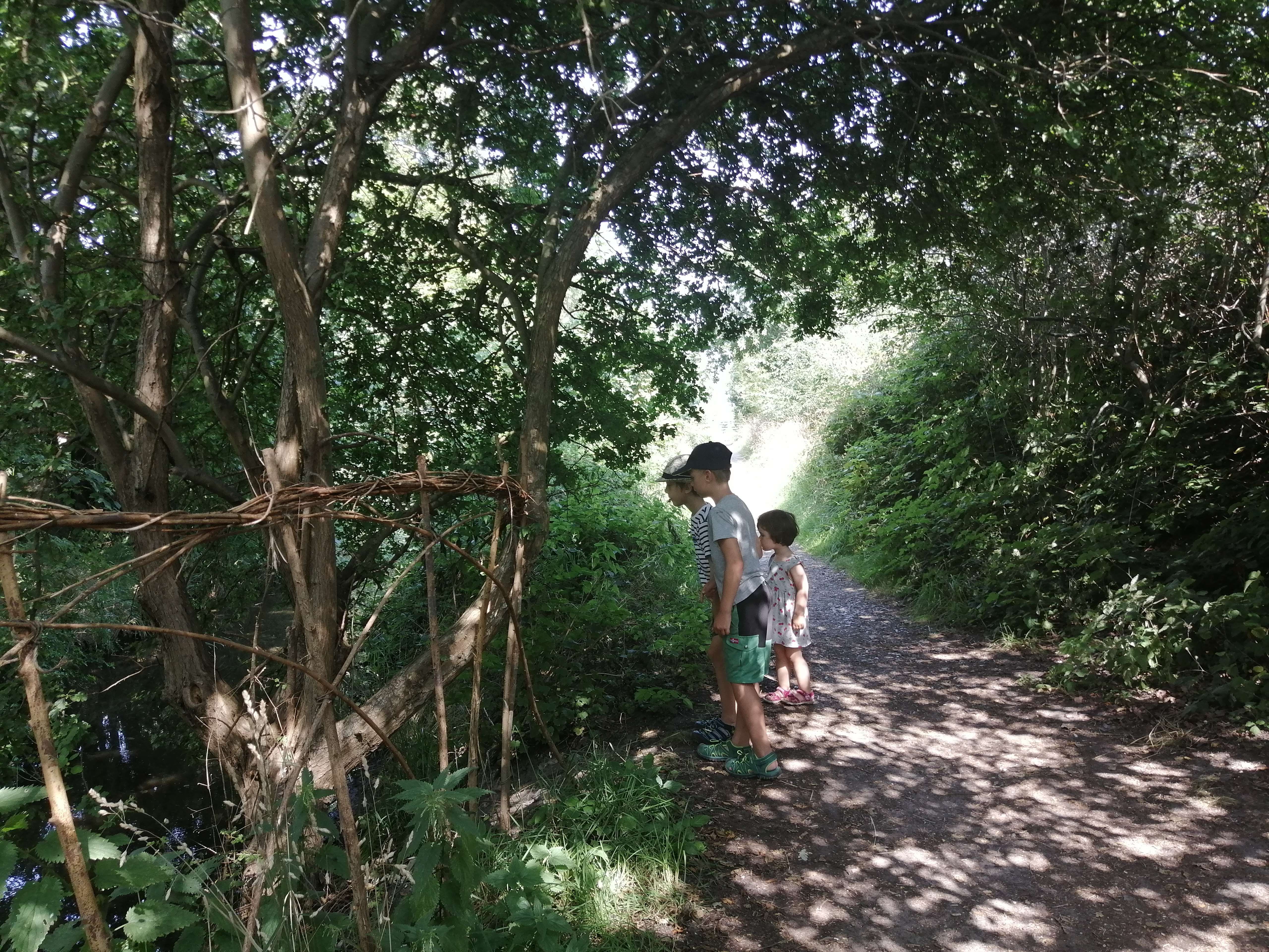 Rundweg beim NABU Wallnau auf Fehmarn