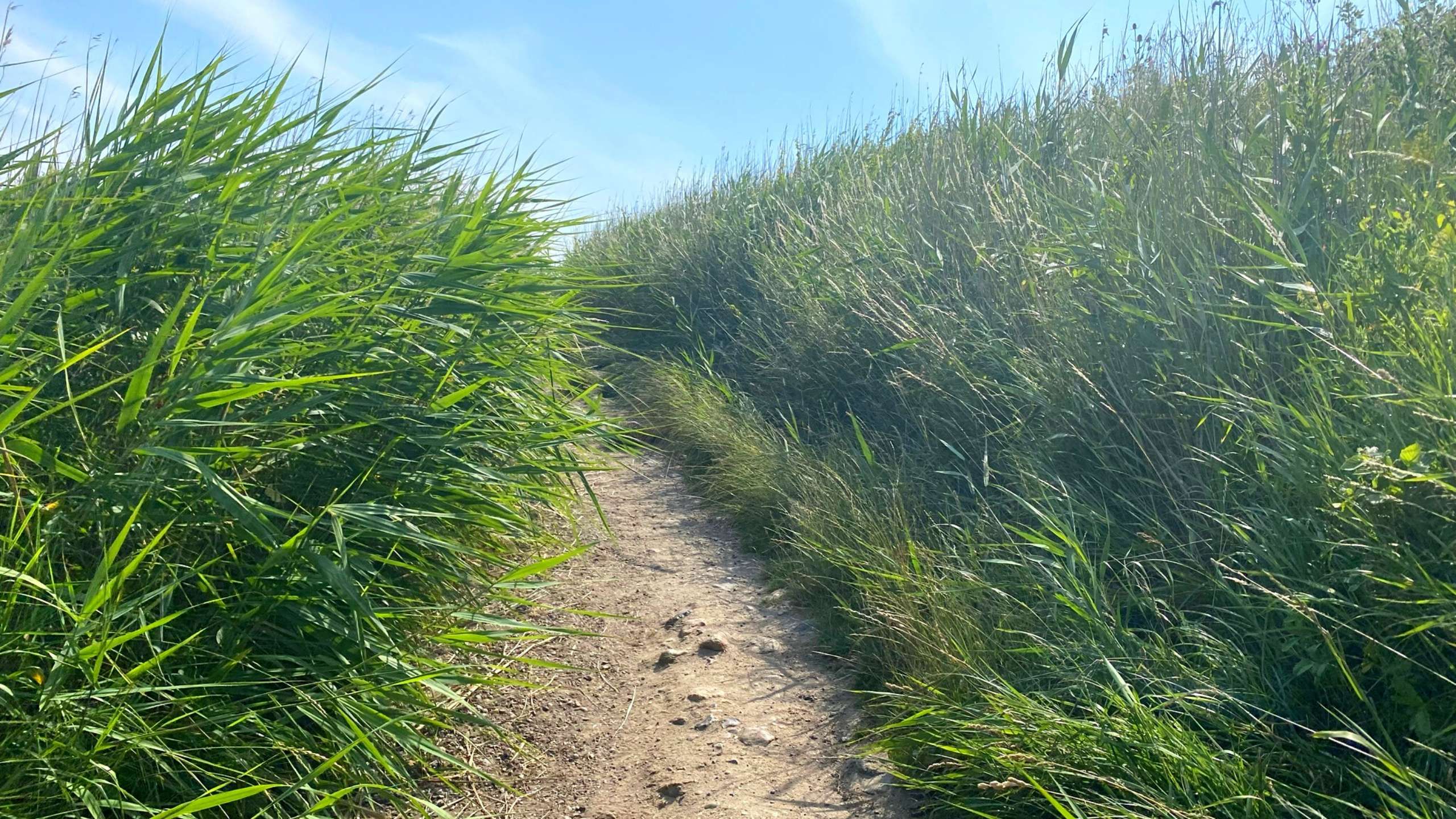 Fahrradtour an der Ostküste auf Fehmarn