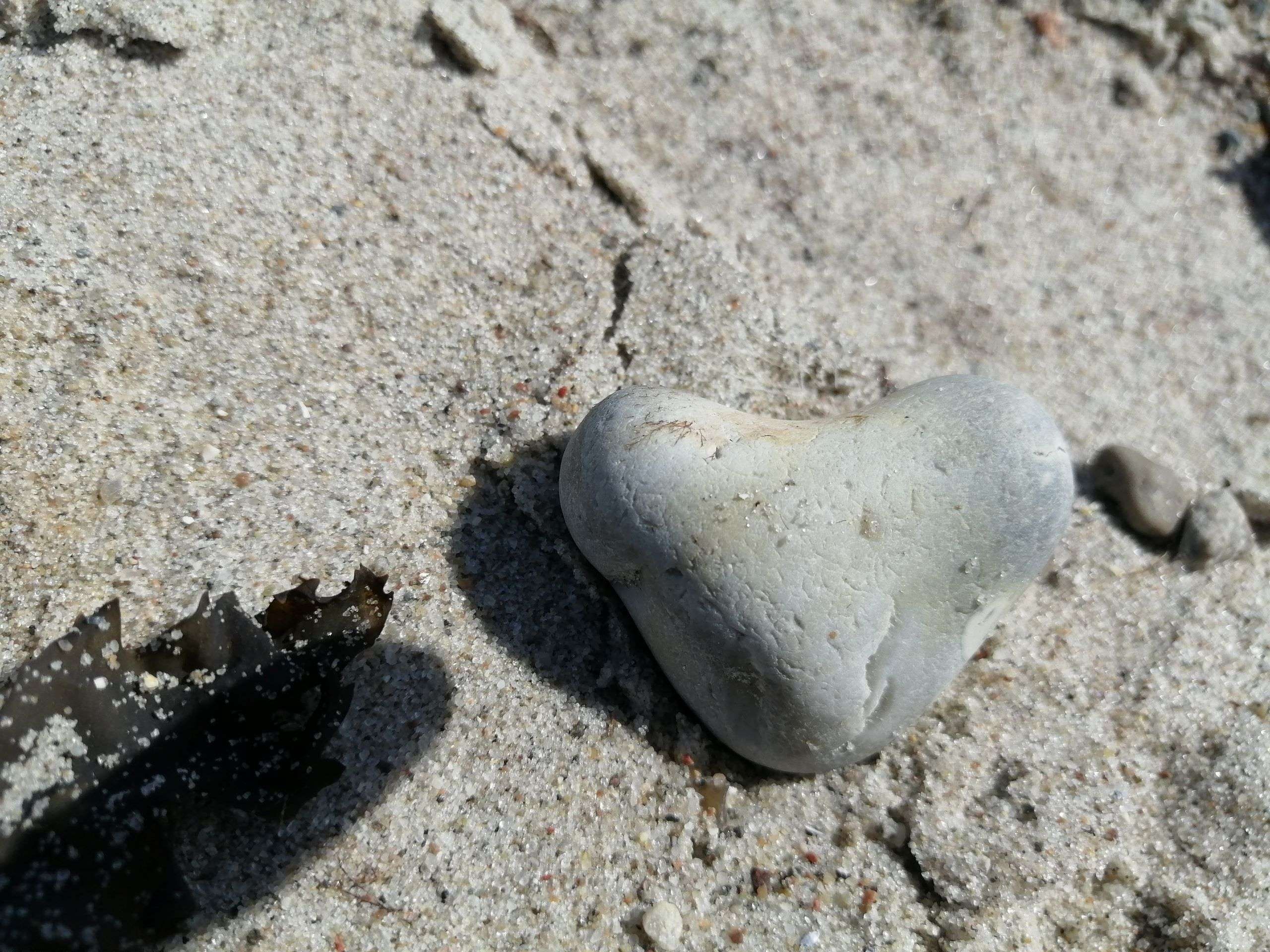 Strand Niobe auf Fehmarn 