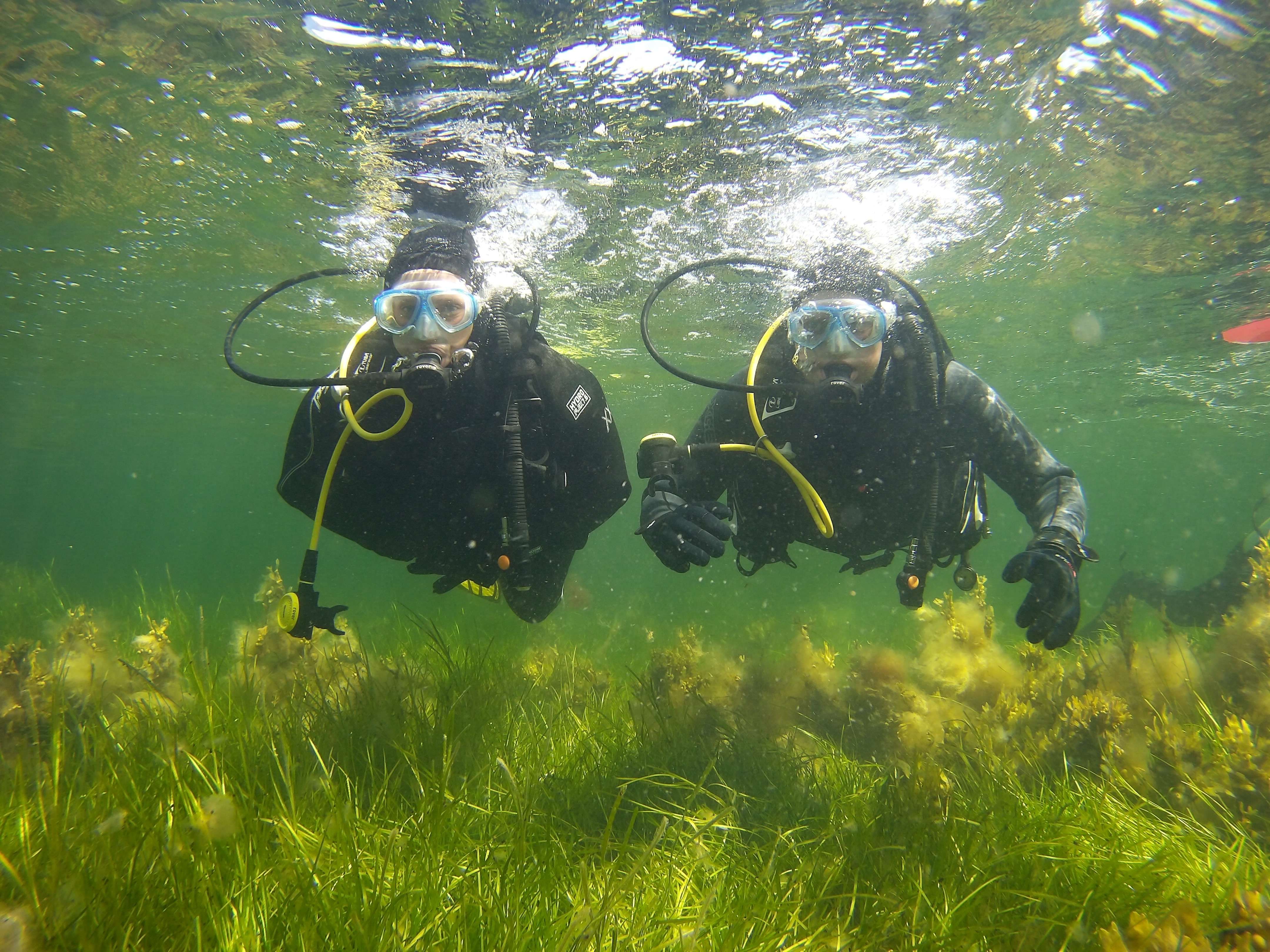 Taucher im Wasser vor Fehmarn