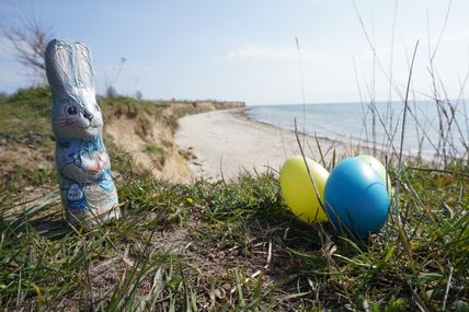 Osterhase an der Steilküste von Wulfen auf Fehmarn