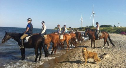 Reiten bei Rauert