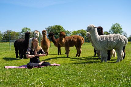 Aplaka Yoga bei der Sunset-Farm in Wallnau auf Fehmarn 